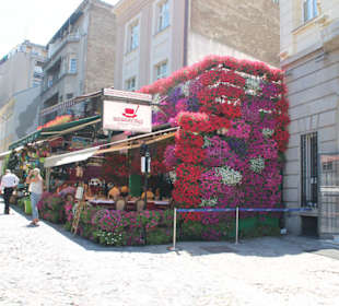 Skadarlija Blumen und Kneipen
