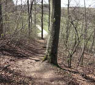 Wanderweg Hochgehkämpft