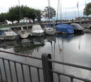 Yachthafen Langenargen