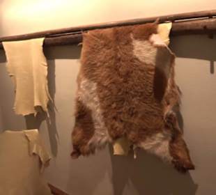 2. Obergeschoß - Literarische Abteilung