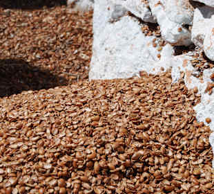 Schalen als Heizmaterial