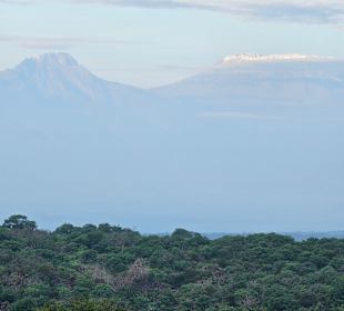 Mt. Kilimanjaro - highest mountain in Africa