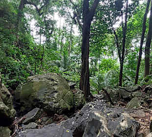 Parque Natural Obô do Príncipe