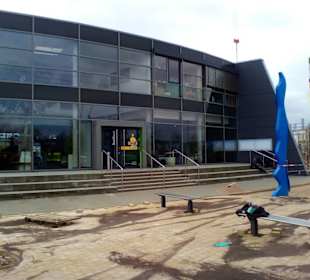 Rheinwelle in Ingelheim am Rhein