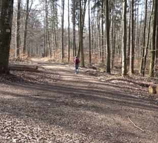 Premiumwanderweg Hohenwittlingensteig