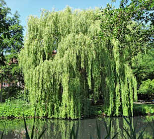 Rundgang durch den Eimsbütteler Park