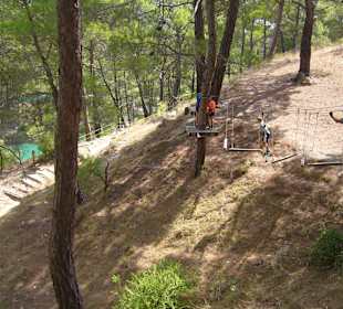 Blick durch Kletterwald