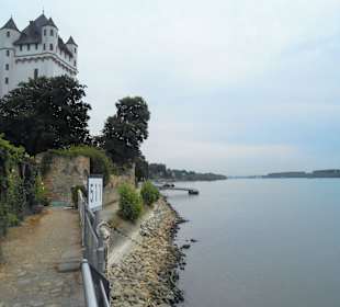 Burg Eltville 