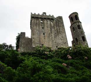  Blarney Castle