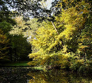 Herbstspaziergang durch den Bürgerpark Bremen