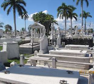 Blick über den Friedhof