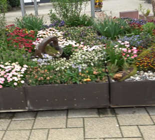 Martinsplatz Nattheim