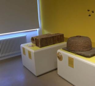 Museum Natur und Mensch