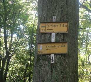 Auf dem Weg zur Madenburg