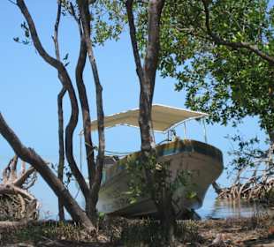 Nationalpark Celestun