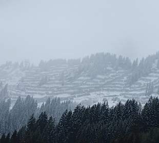 Wandern Mittelberg (Vorarlberg)