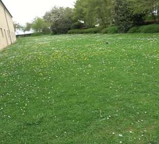 Schloss ob Ellwangen