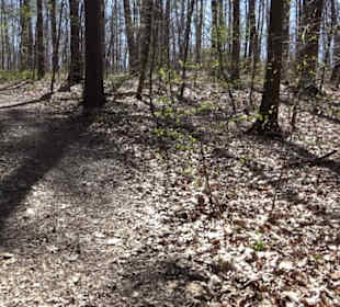 Wanderung Florianrunde