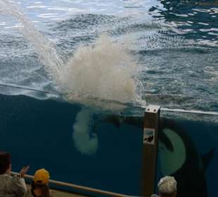 Das war Nass für die da vorne