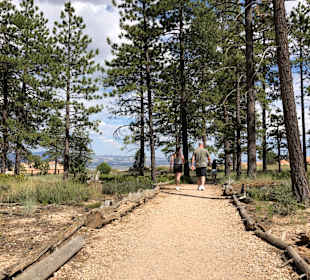 North Rim Grand Canyon
