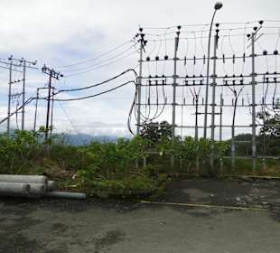 Wildlife Expeditions