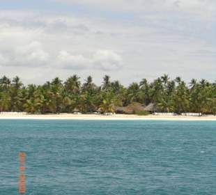 Isla Saona