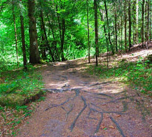 Wanderung zum Bärenfels
