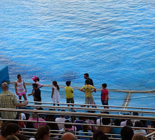 Kinder durften mitmachen