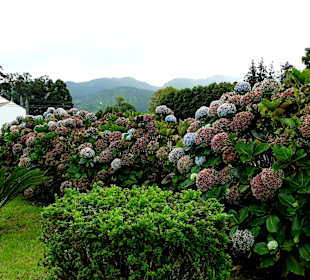 Kirche Igreja Sao Nicolau
