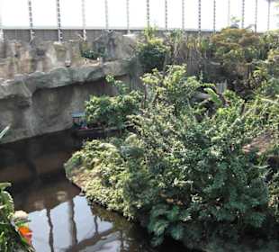 Godwanaland im Zoo Leipzig