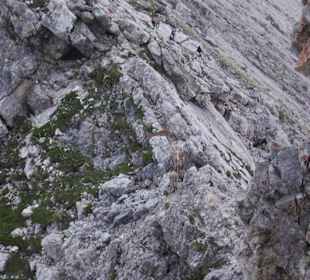 Mindelheimer Klettersteig