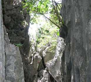 Aufgang Emerald Lake