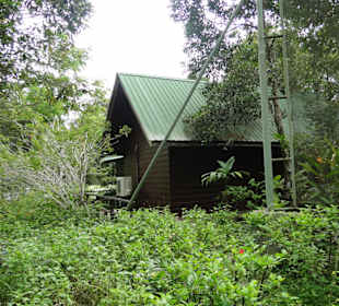 Poring Hot Springs - Schmetterlingsgarten