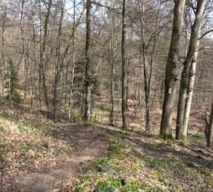 Geologischer Lehrpfad Kirnbachtal