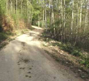 Wanderweg Hochgehswiggert