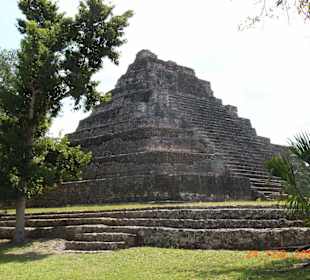 Chacchoben Mayatempel 1