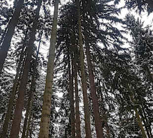 Wandern Nejdek / Neudek