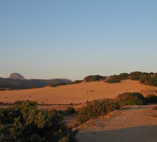 La sabbia rossa di Piscinas