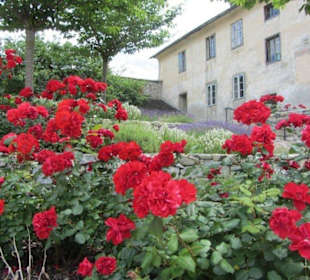 Neustift und seine Blumen