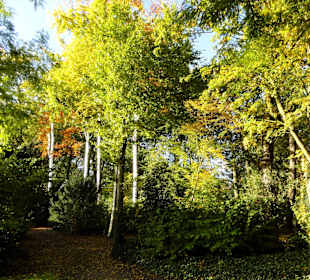 Herbstspaziergang durch den Schlosspark