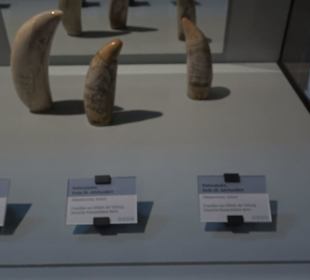 Deutsches Technikmuseum 