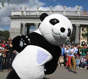 Panda-Bär-Maskottchen