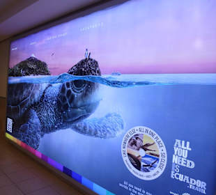 M Flughafen von Quito