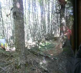 Natur pur in Patagonien