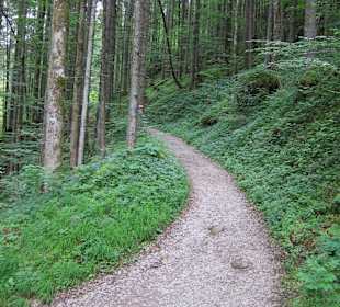 Weg zur Schaertenalm