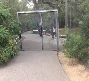 Vogelfreifluggelände