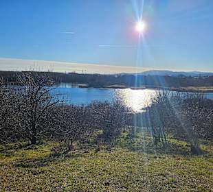 Wintersonne am Wienerberg