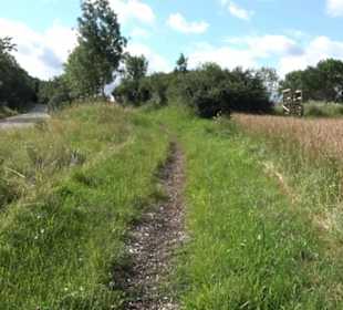 Naturschutzgebiet Zollerhalde Zimmern