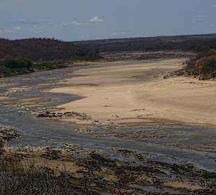 Fluss im Krüger Nationalpark