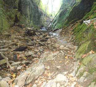 Einfach abenteuerlich